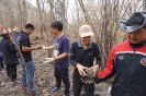 BigCleaning_73