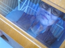 hos_2060_56