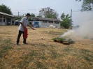 fire__37