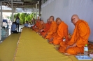 ้hoscrc_42