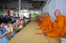 ้hoscrc_61